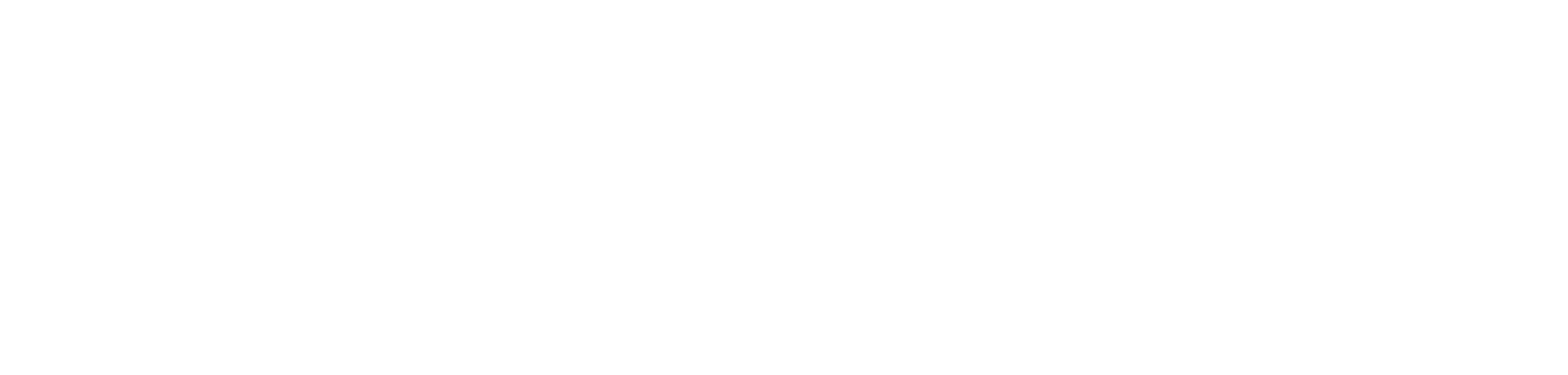 Nydeum Logo